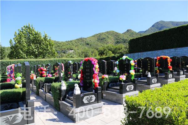 天山陵园墓区 天山陵园墓区